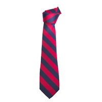 Day Uniform B Tie 