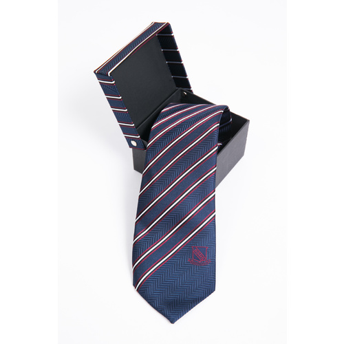Tie Silk Corporate Boxed